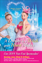 A Dream is a Wish your Heart Makes